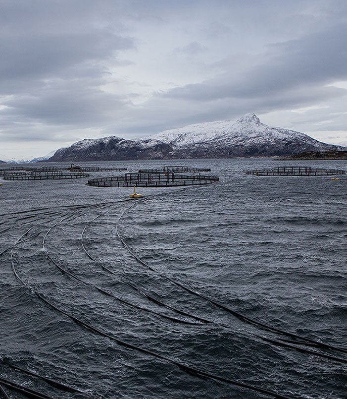 مزارع بحرية