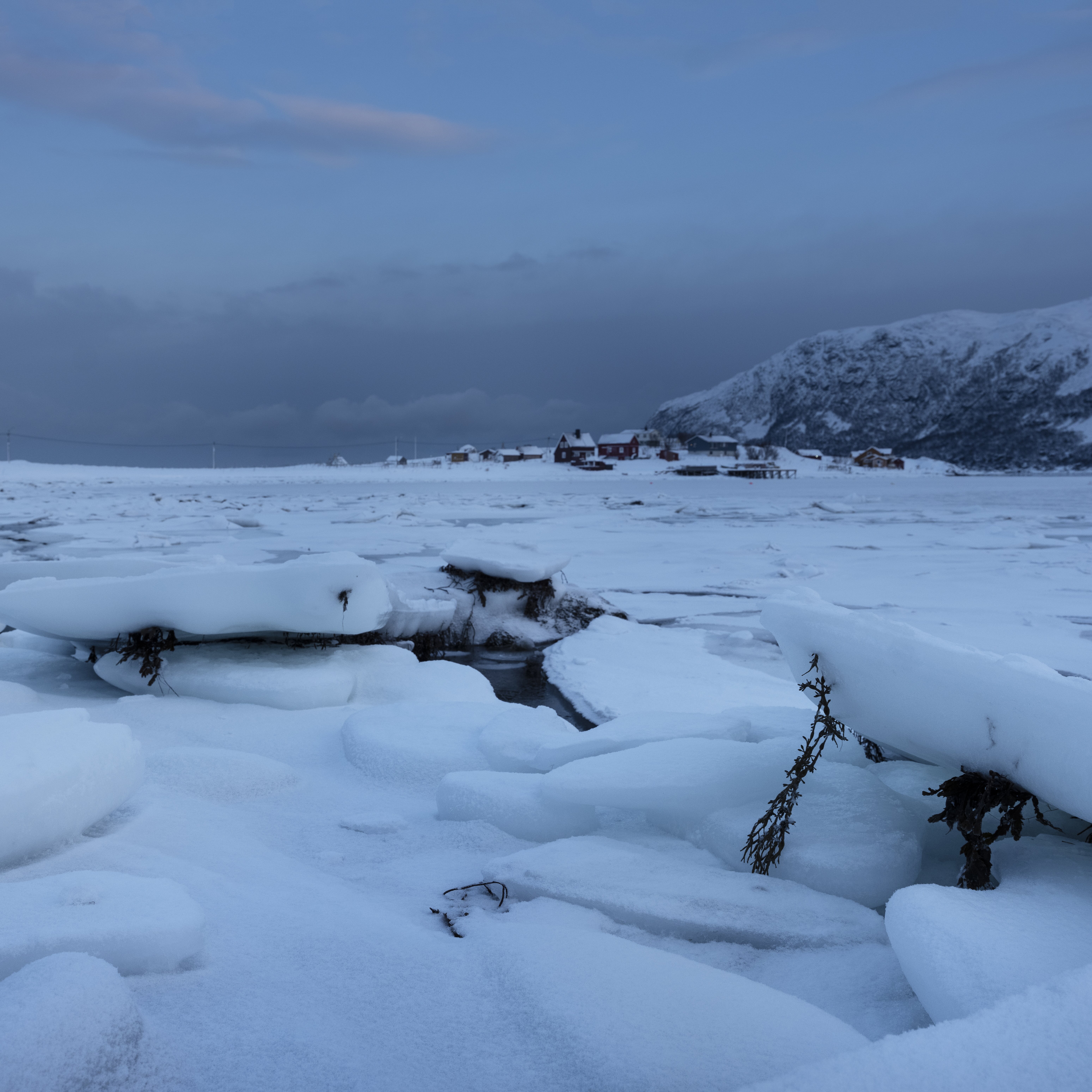 انفصال الجليد